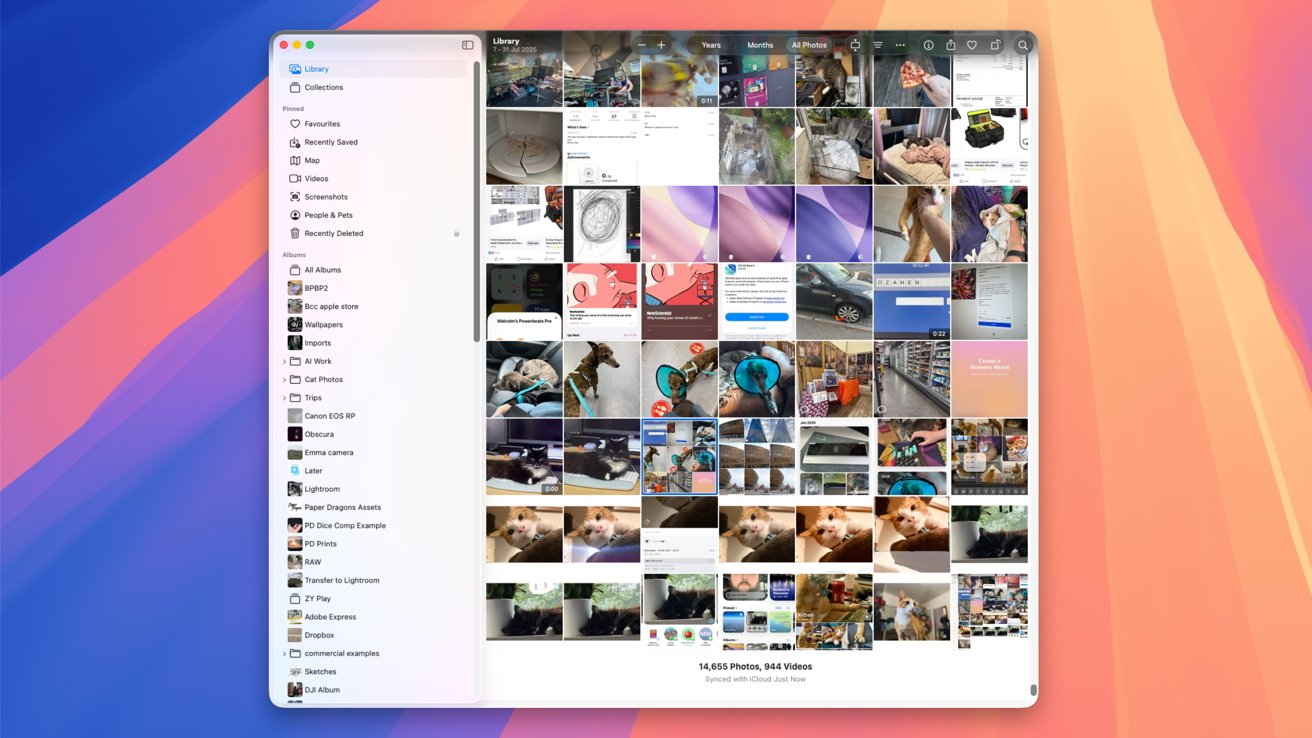 Photo library interface showing folders and a grid of various thumbnails, including animals, documents, and scenic views, on a colorful abstract background.