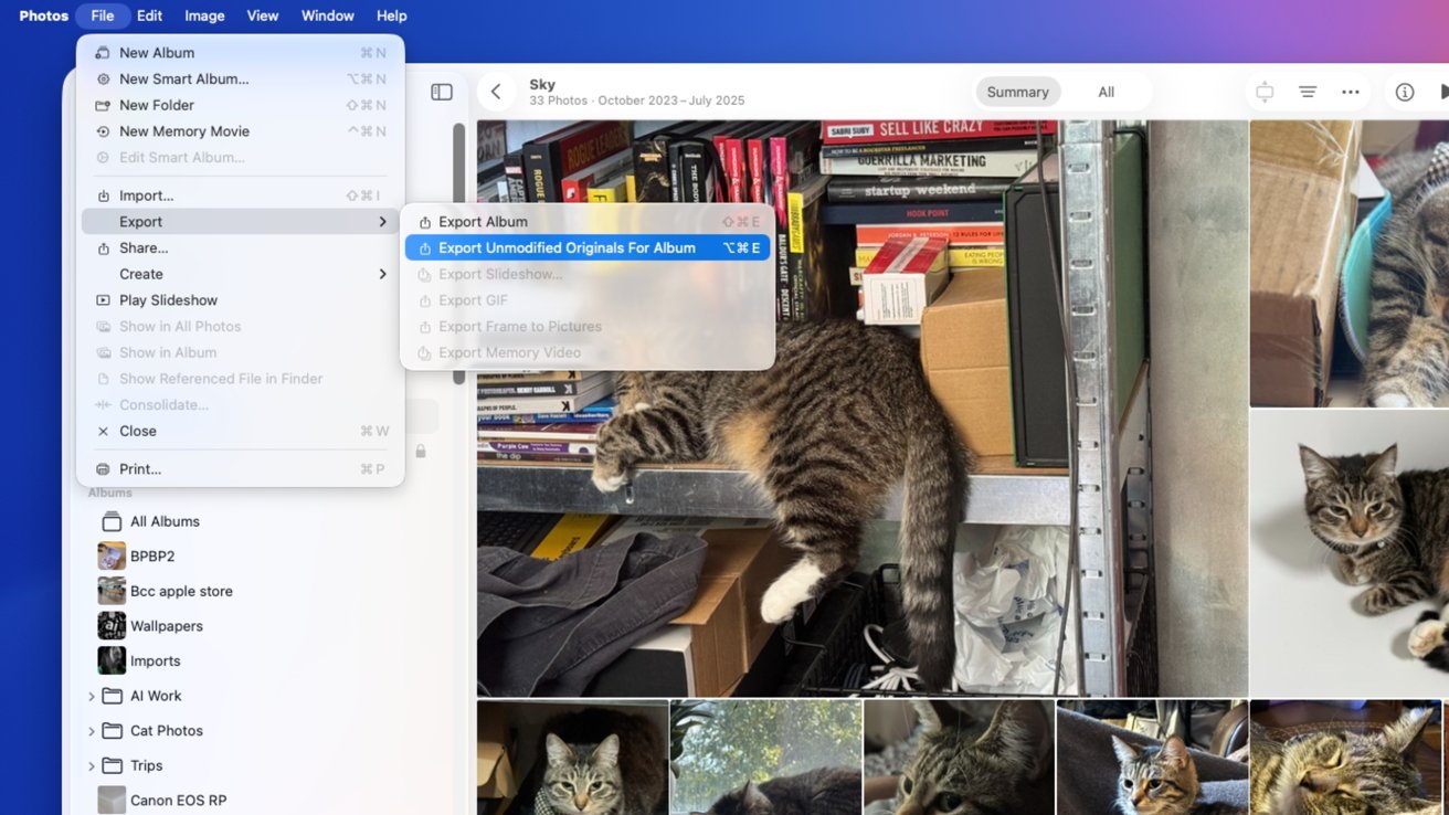 Computer screen displaying a photo management application with a menu open. A tabby cat is lounging on a metal shelf surrounded by books and boxes.