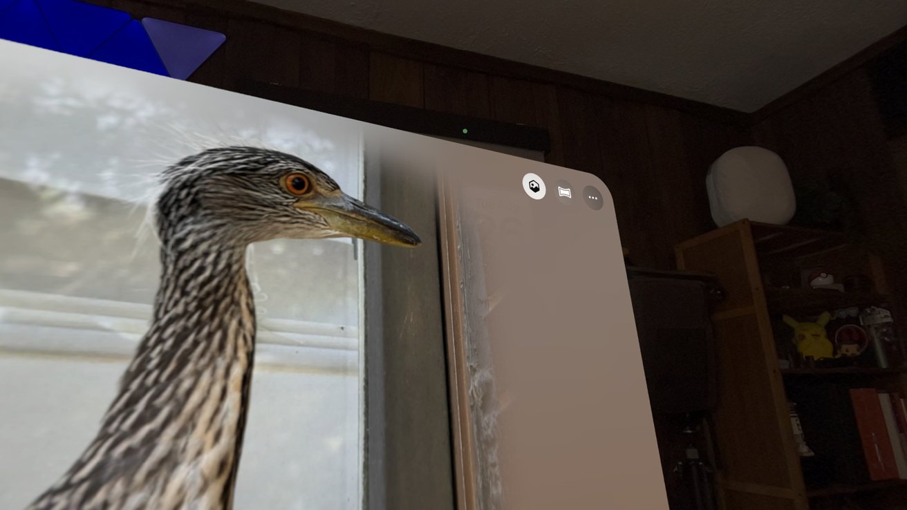 A close-up of a bird, possibly a heron, looking through a window with a wooden room interior in the background.