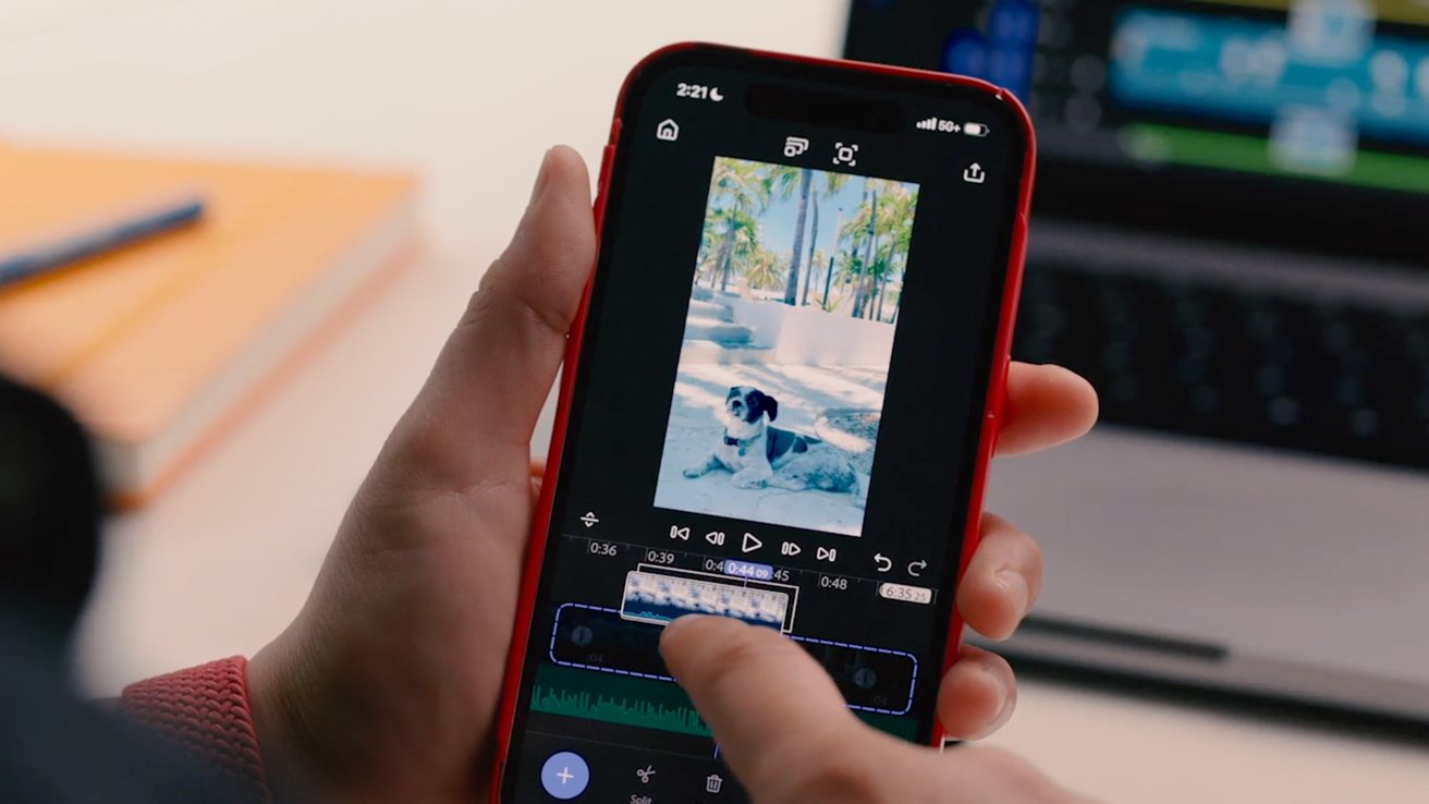 Person holding a smartphone with a video editing app showing a photo of a dog on a sandy beach.