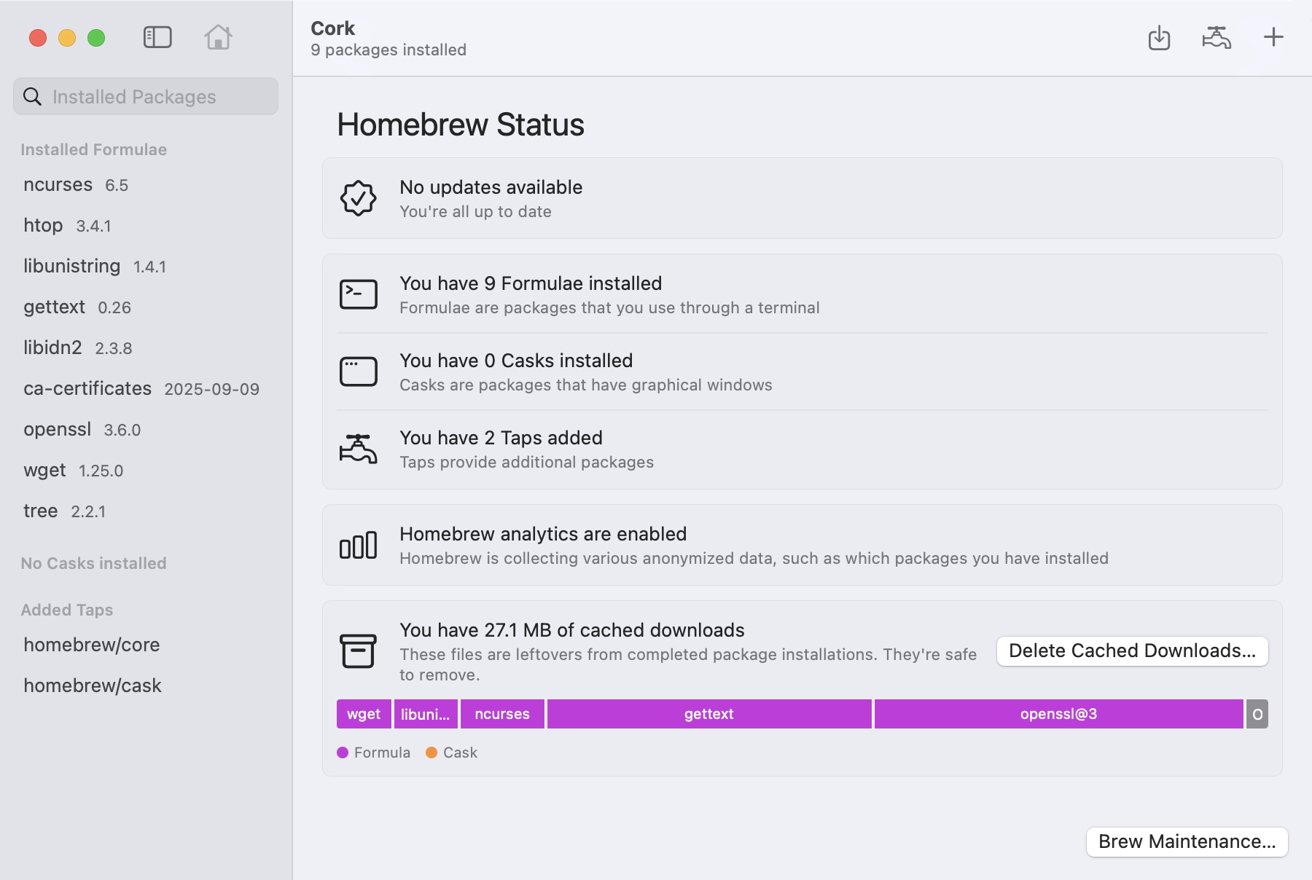 Homebrew status screen showing 9 formulae installed, 0 casks, 2 taps added, analytics enabled, and 27.1 MB of cached downloads. Options for maintenance tasks available.