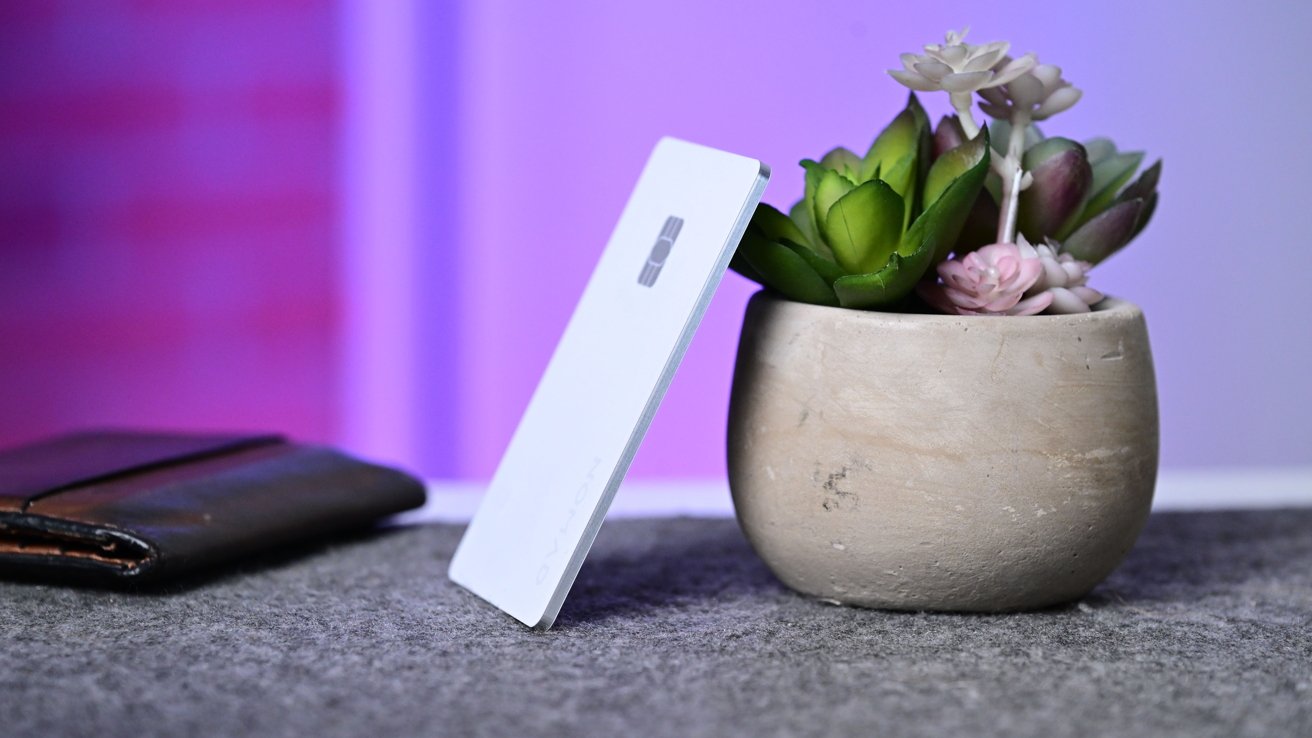 White card leaning against small beige pot with green and pink succulents, on gray surface, purple background.