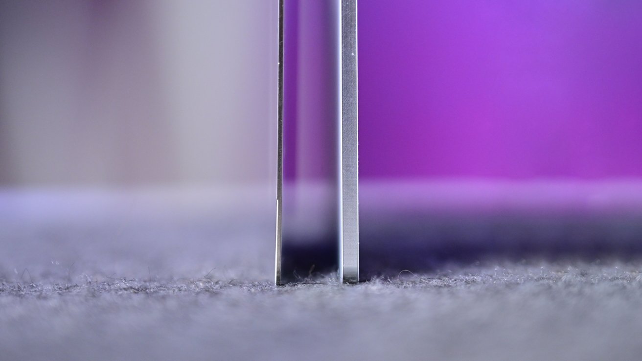 Close-up view of two thin leaves standing upright on a textured surface with a soft purple background.