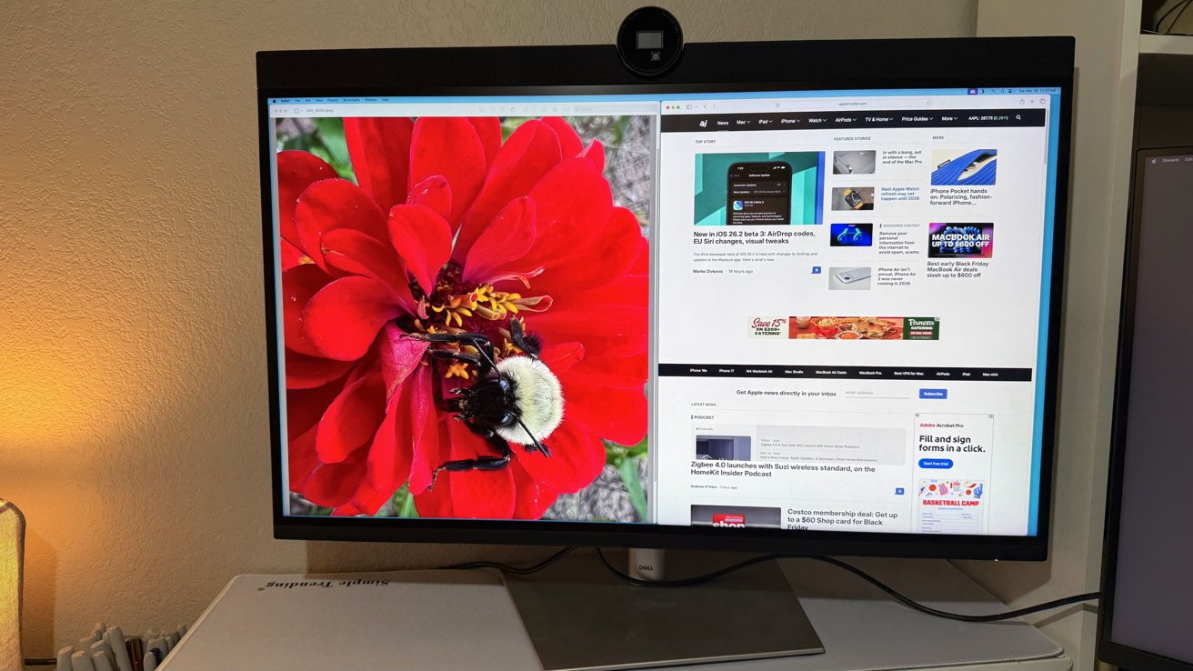 A computer monitor showing a large red flower with a bumblebee next to a web page containing news articles and advertisements.