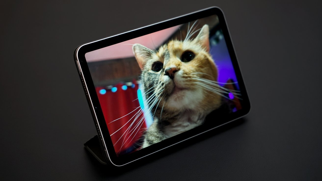 Tablet displaying a large close-up of a cat's face, with whiskers visible, placed on a dark surface.