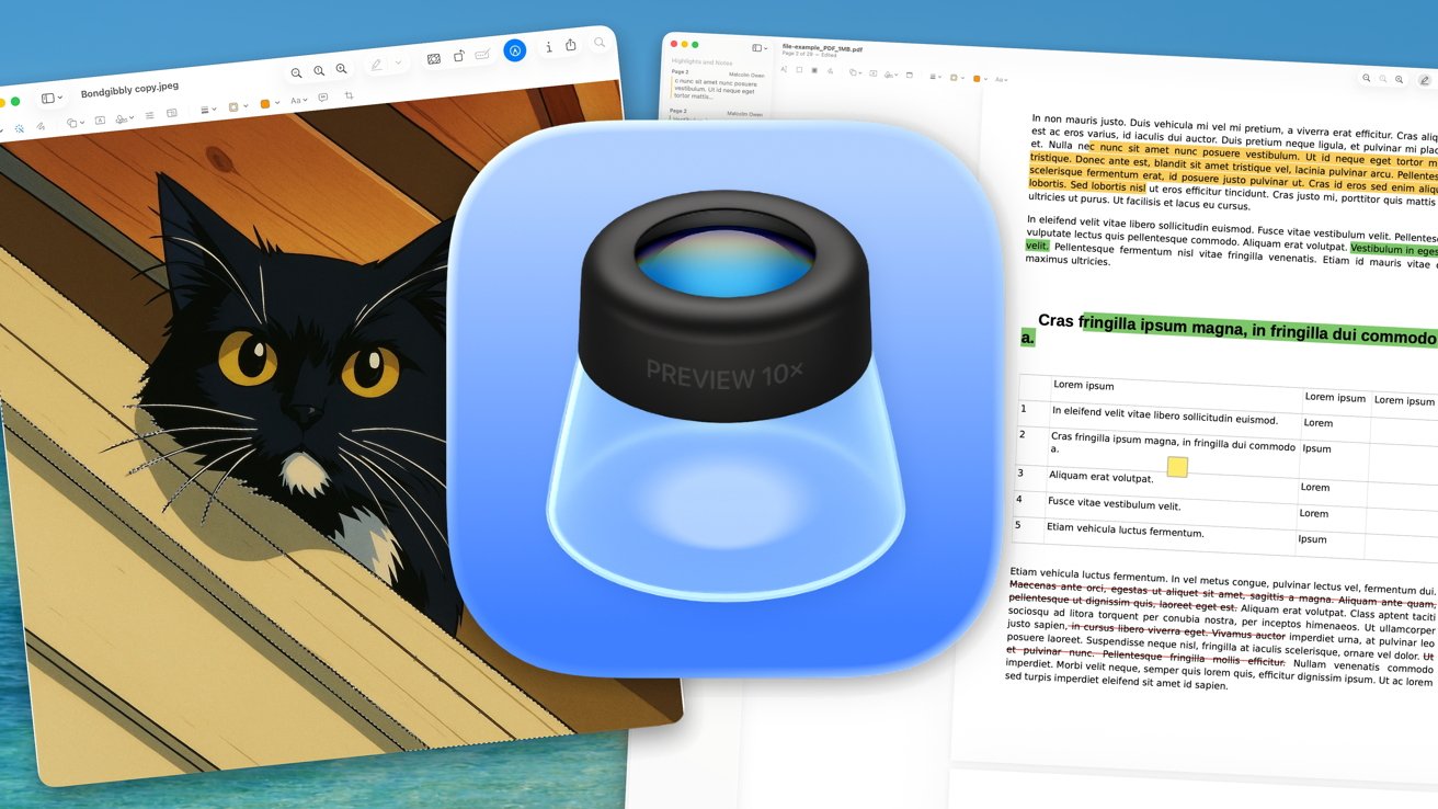 A cartoon cat with yellow eyes peeks through wooden planks, surrounded by document windows and a magnifying glass icon on a blue background.