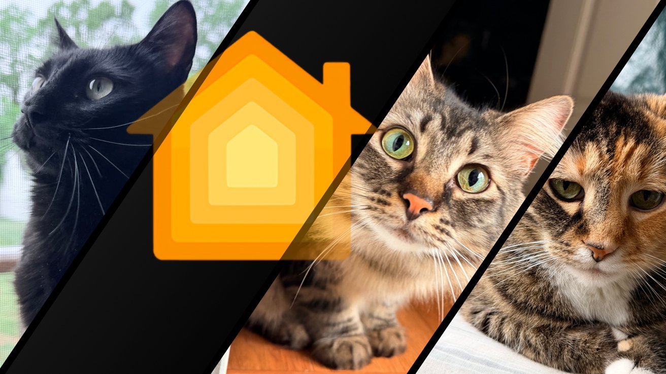 Collage of three cats separated by black diagonal bars, with a large yellow smart home-style house icon in the center, blending over the cat photos.