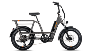 RadRunner 3 Plus Electric Bike